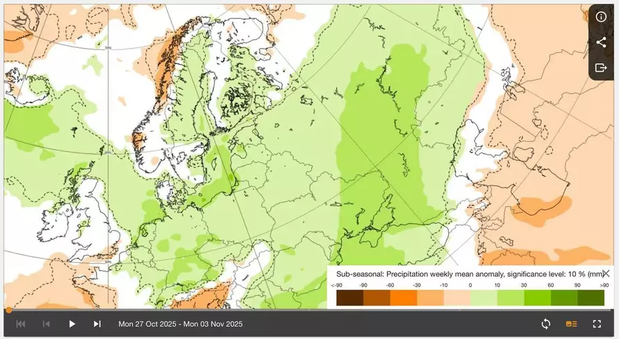 Каким будет начало ноября в Беларуси? Синоптики назвали даты первого снега