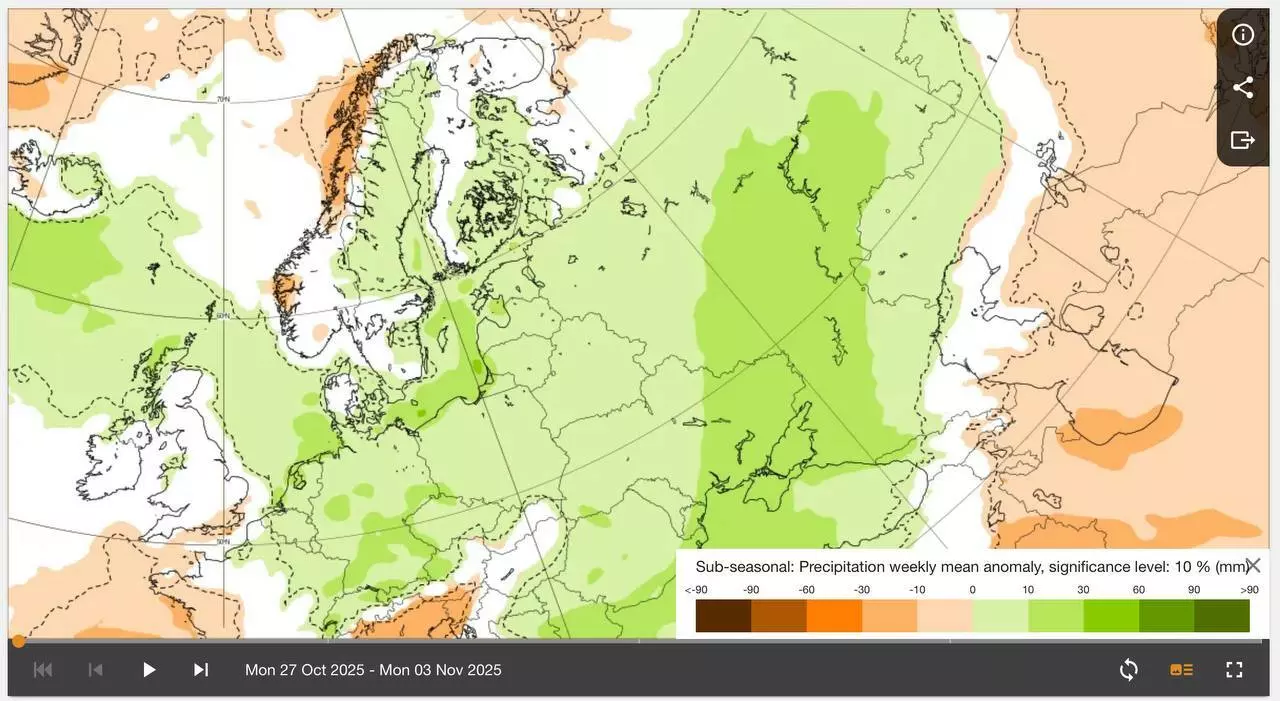 Каким будет начало ноября в Беларуси? Синоптики назвали даты первого снега