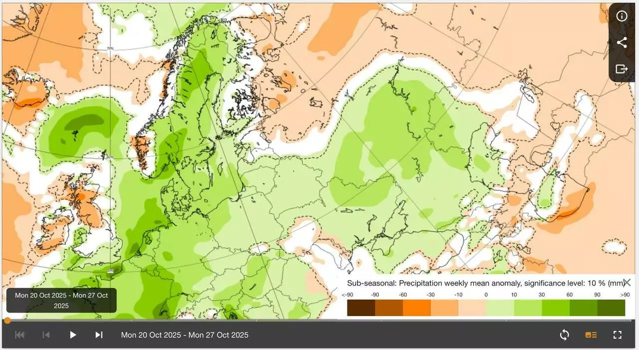 Каким будет начало ноября в Беларуси? Синоптики назвали даты первого снега