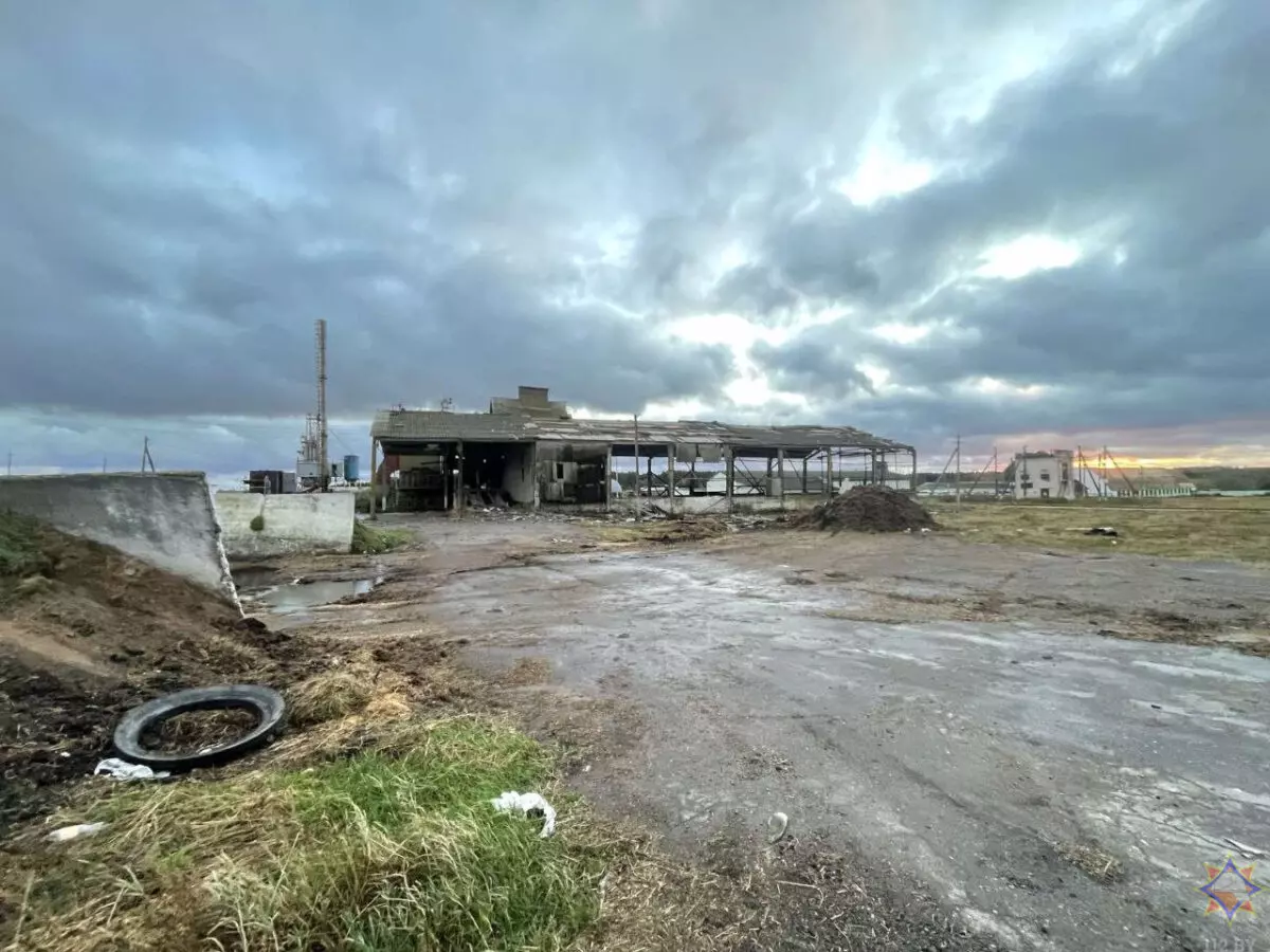 Шквалистый ветер снёс телятник на Могилёвщине и оставил без света десятки деревень Витебщины