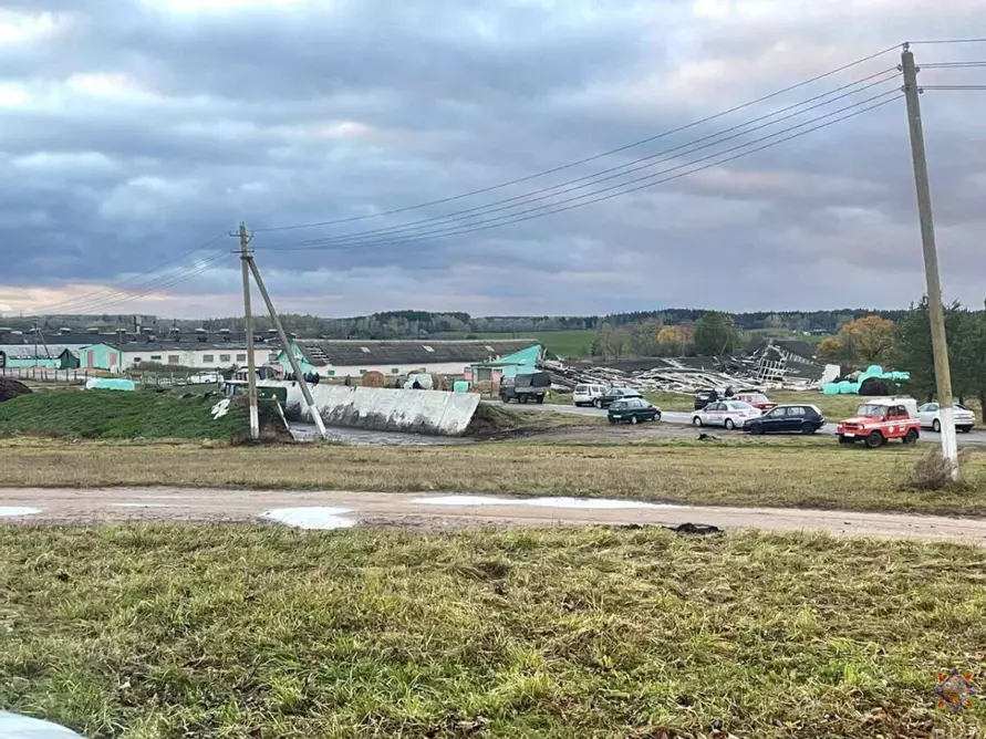Шквалистый ветер снёс телятник на Могилёвщине и оставил без света десятки деревень Витебщины