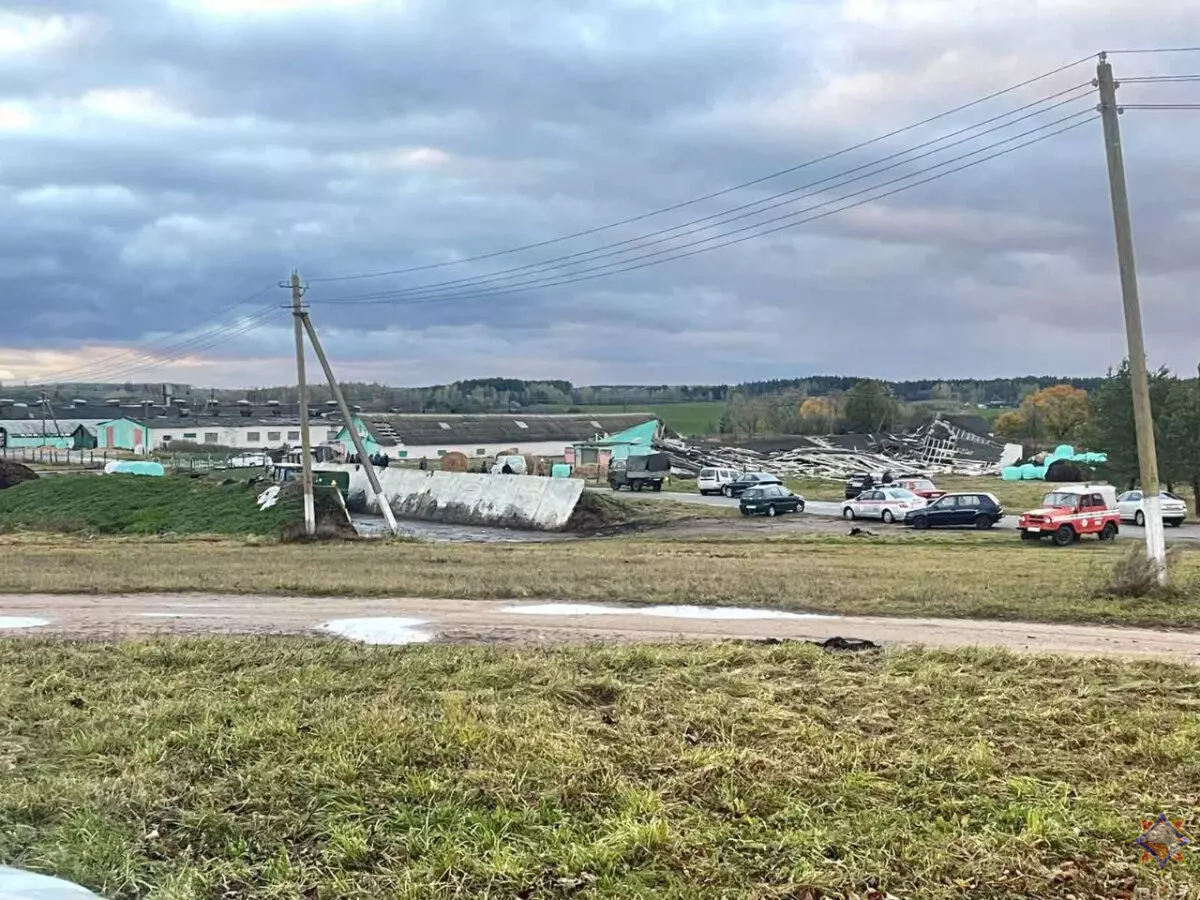 Шквалистый ветер снёс телятник на Могилёвщине и оставил без света десятки деревень Витебщины