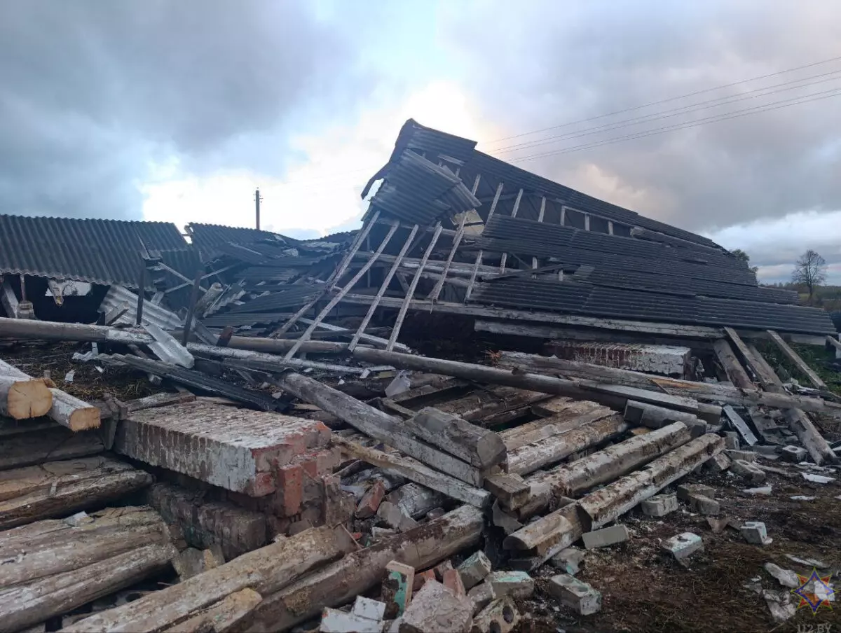 Шквалистый ветер снёс телятник на Могилёвщине и оставил без света десятки деревень Витебщины