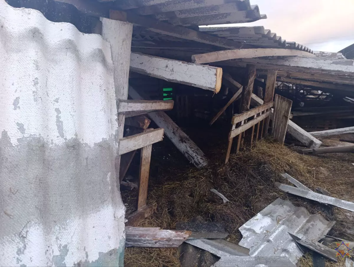 Шквалистый ветер снёс телятник на Могилёвщине и оставил без света десятки деревень Витебщины