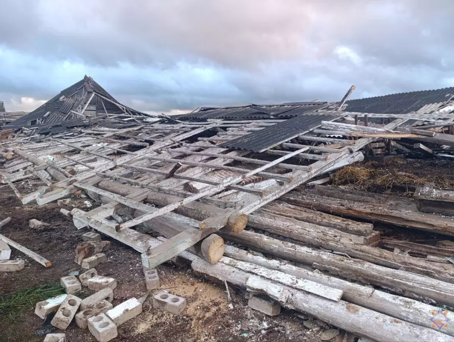 Шквалистый ветер снёс телятник на Могилёвщине и оставил без света десятки деревень Витебщины