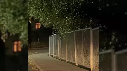 Минприроды предупредило белорусов об опасности: «Ни в коем случае не приближайтесь»