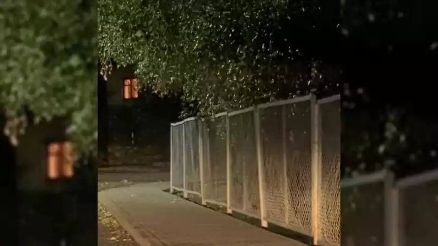 Минприроды предупредило белорусов об опасности: «Ни в коем случае не приближайтесь»