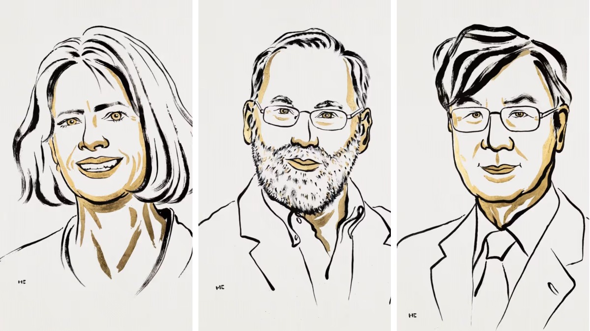 Нобелевскую премию по медицине вручили за исследование иммунитета человека