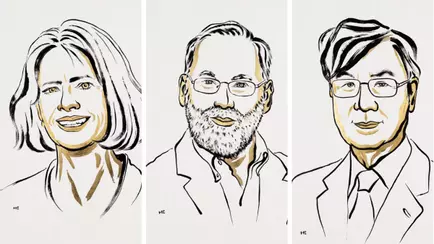 Нобелевскую премию по медицине вручили за исследование иммунитета человека