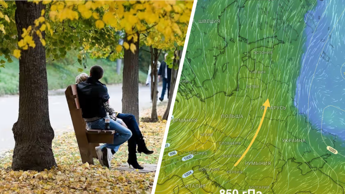 Синоптики назвали регион, где в Беларуси потеплеет до +17°С. Когда новая волна холода?