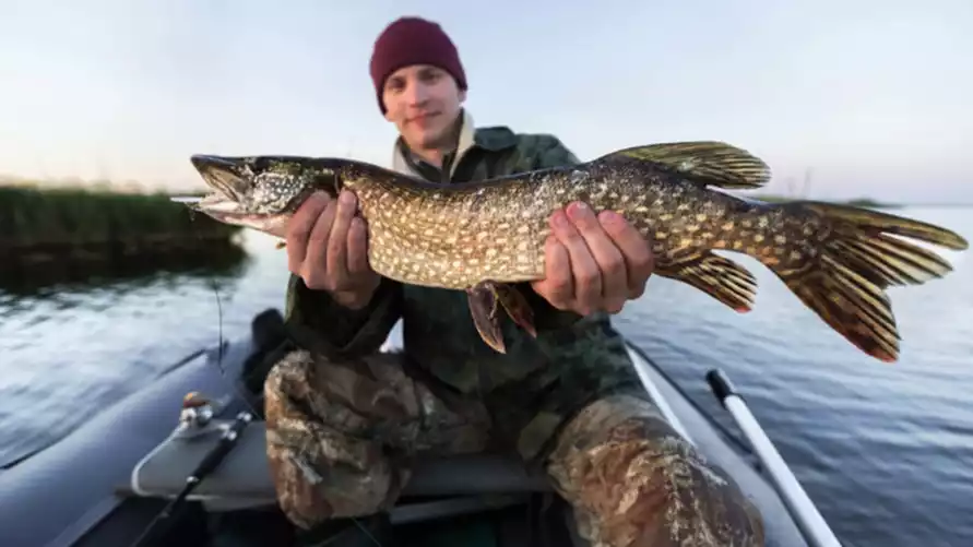 Фото иллюстрационное