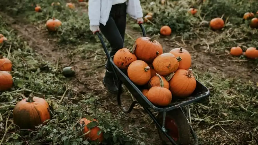 Фото иллюстарционное