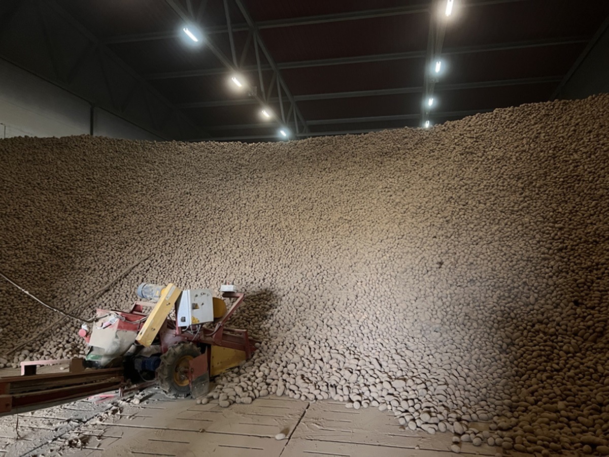 Фото: МАРТ РБ