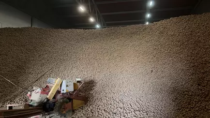 В стабфондах Беларуси недобор по «борщевому набору» и яблокам ещё 19,4% — МАРТ