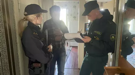 МЧС объявило неделю рейдов по домам двух категорий белорусов