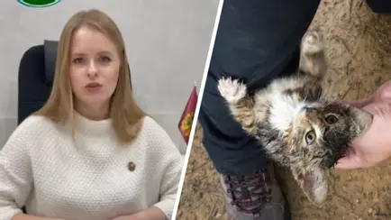 Адвокат обязала белорусов сообщать в милицию о найденных на улице котах. Это зачем?