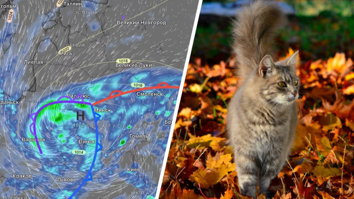 Где в Беларуси после ненастных выходных с мокрым снегом потеплеет до +18°С