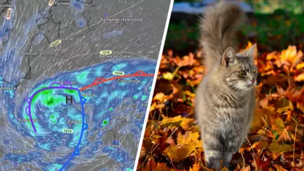 Где в Беларуси после ненастных выходных с мокрым снегом потеплеет до +18°С