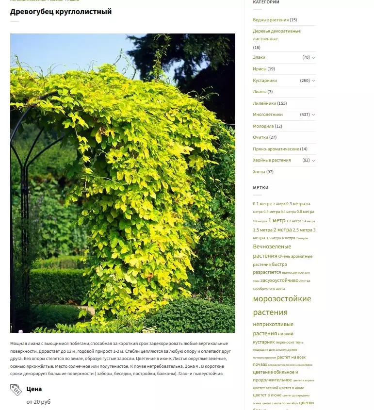 Штраф до 200 000 евро. Евросоюз ввел штрафы за выращивание популярного декоративного растения