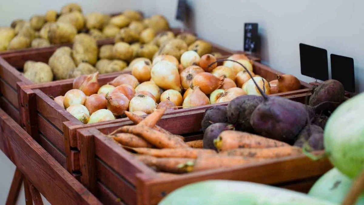 Фото иллюстрационное