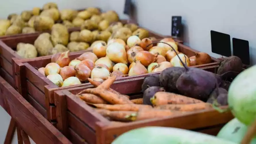 Фото иллюстрационное