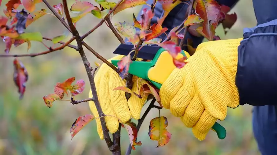 Фото иллюстрационное