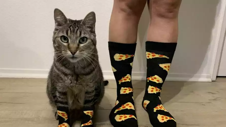 Фото иллюстрационное