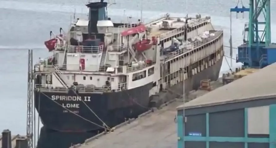 Тысячи коров застряли на корабле. Зоозащитники бьют тревогу