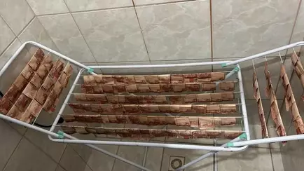 Бандиты решили отмыть деньги. В прямом смысле слова — «Сушили на верёвке»