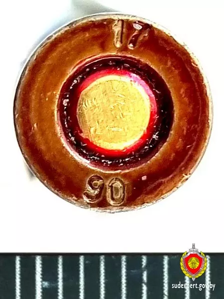 В Минске на пенсионера завели уголовное дело за один патрон