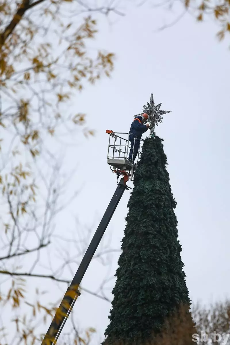 В городах Беларуси начали устанавливать новогодние ёлки