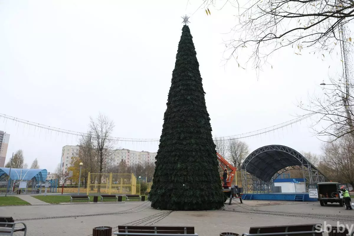 В городах Беларуси начали устанавливать новогодние ёлки