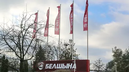 «Белшина» пожаловалась на демпинг китайских конкурентов в ЕАЭС. Что теперь будет?
