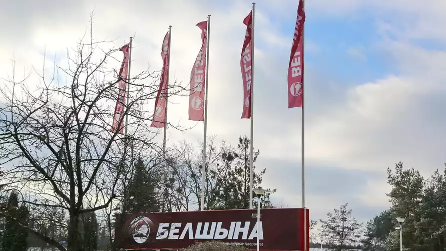 «Белшина» пожаловалась на демпинг китайских конкурентов в ЕАЭС. Что теперь будет?
