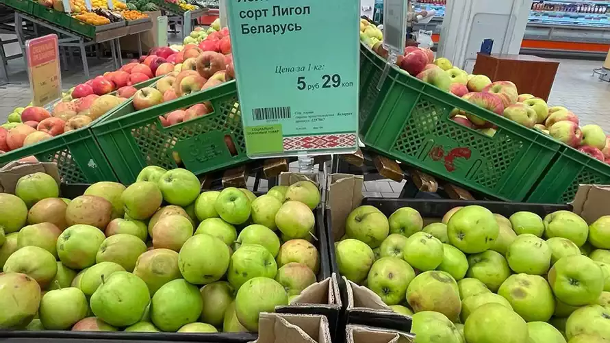 Не только картошка. Совмин Беларуси ввел требования к размерам яблок
