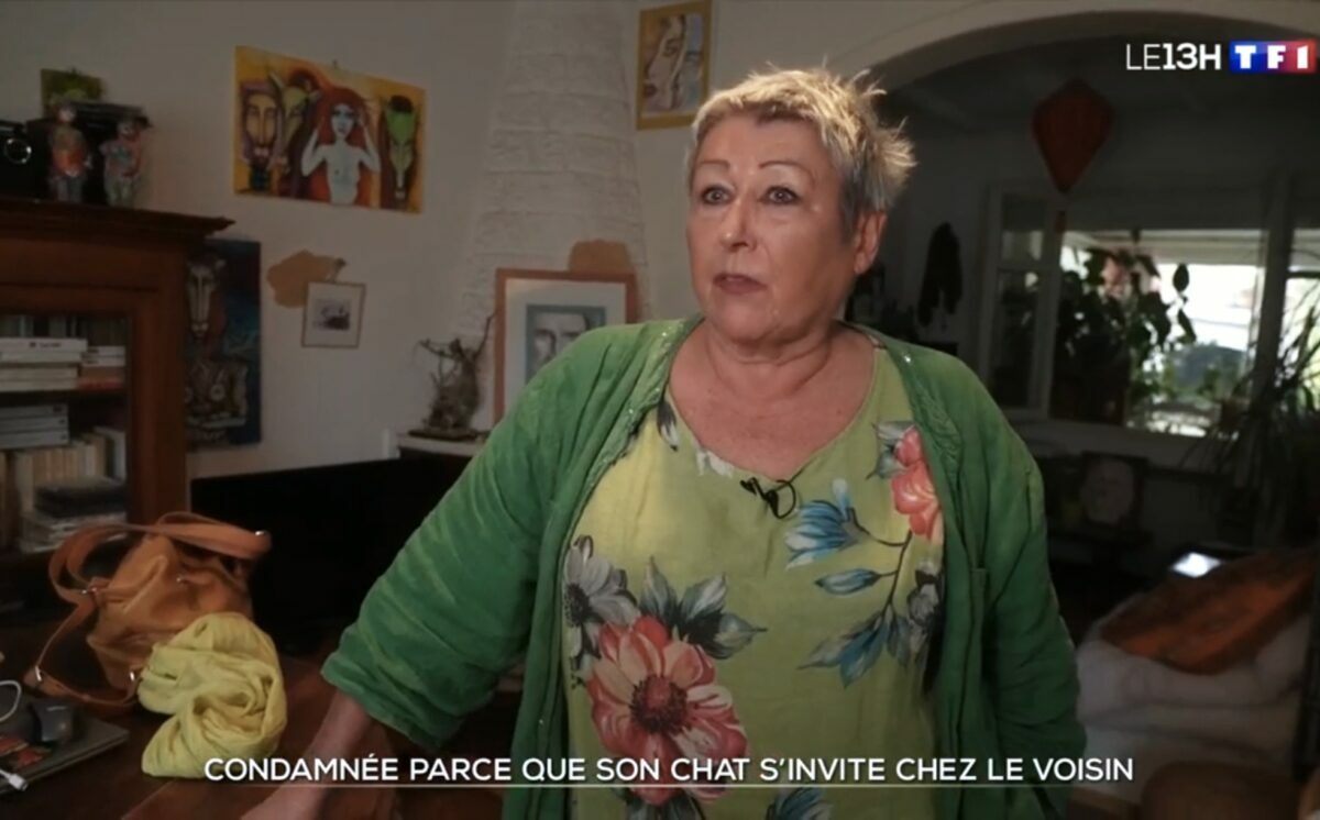 Женщину оштрафовали на 1250 евро из-за прогулок ее кота - «Неужели нет дел поважнее?»