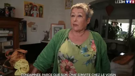 Женщину оштрафовали на 1250 евро из-за прогулок ее кота — «Неужели нет дел поважнее?»