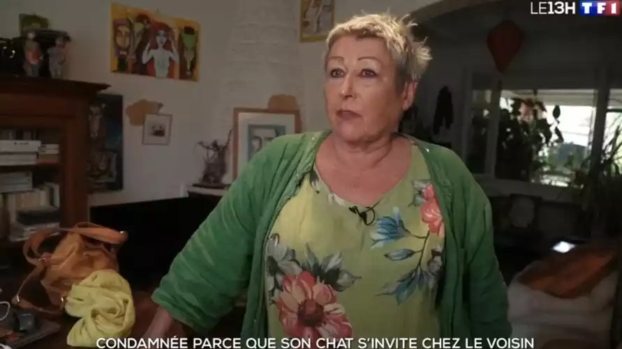 Женщину оштрафовали на 1250 евро из-за прогулок ее кота - «Неужели нет дел поважнее?»