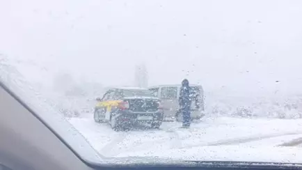 С тревогой смотрим на юг? Узнали, как надолго в Беларусь пришла зима и сколько будет снега