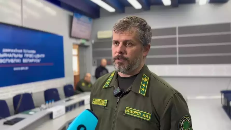 Минлесхоз Беларуси нашел "золотую жилу" и это не древесина: доходы выросли на 130%