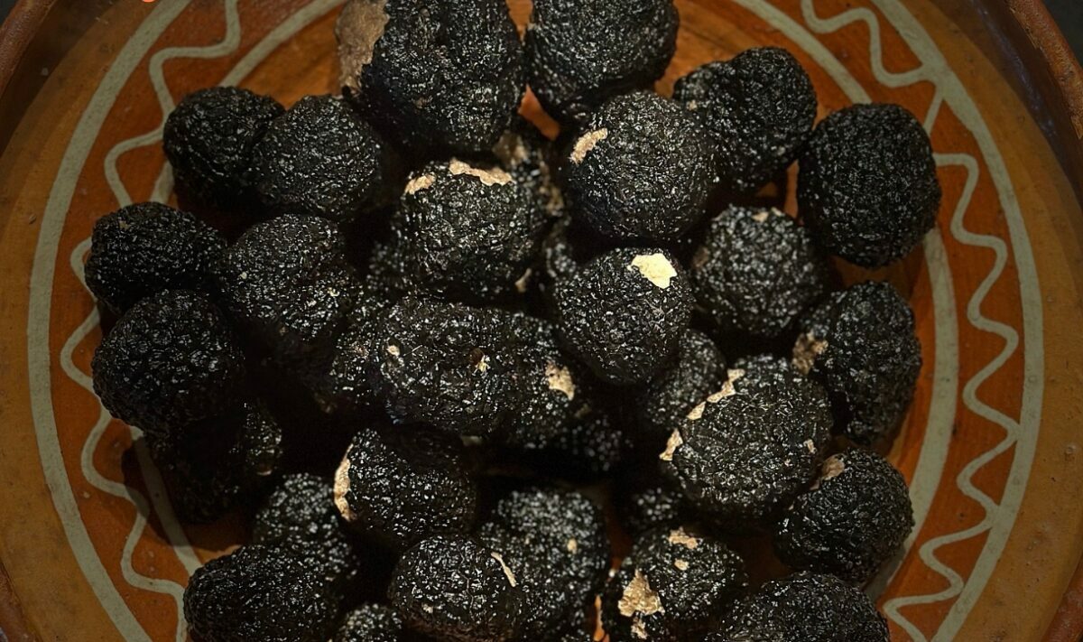 В Европе цена за килограмм этого гриба подскочила до 5 000 евро