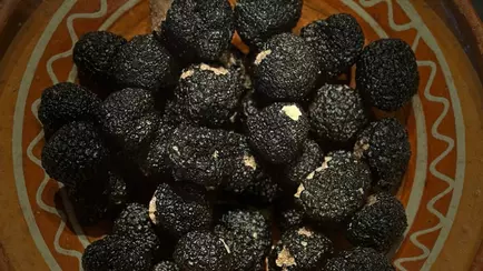 В Европе цена за килограмм этого гриба подскочила до 5 000 евро