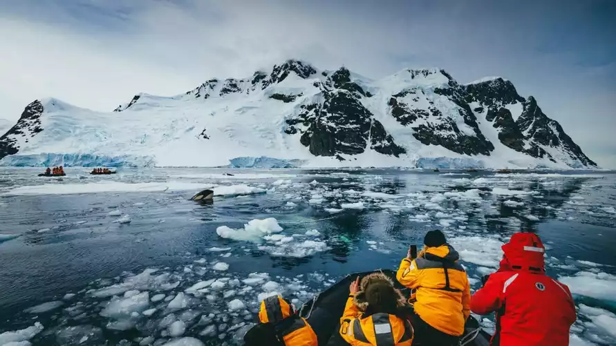 Банк предложил белорусам выиграть поездку в Антарктиду. Как?