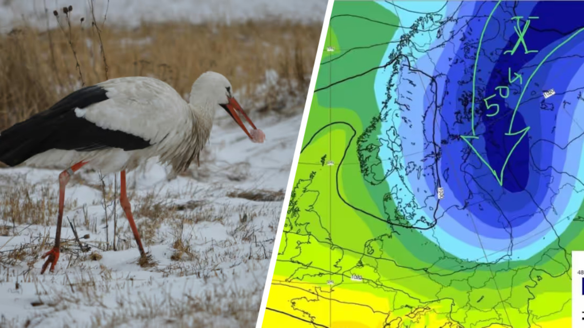 "Может ухнуть до -20°C" - Синоптики назвали даты первых "зимних" морозов в Беларуси