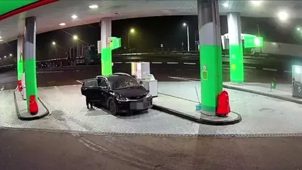 В милиции показали, за что штрафуют белорусов по видеокамерам на АЗС. Нет — не кофе
