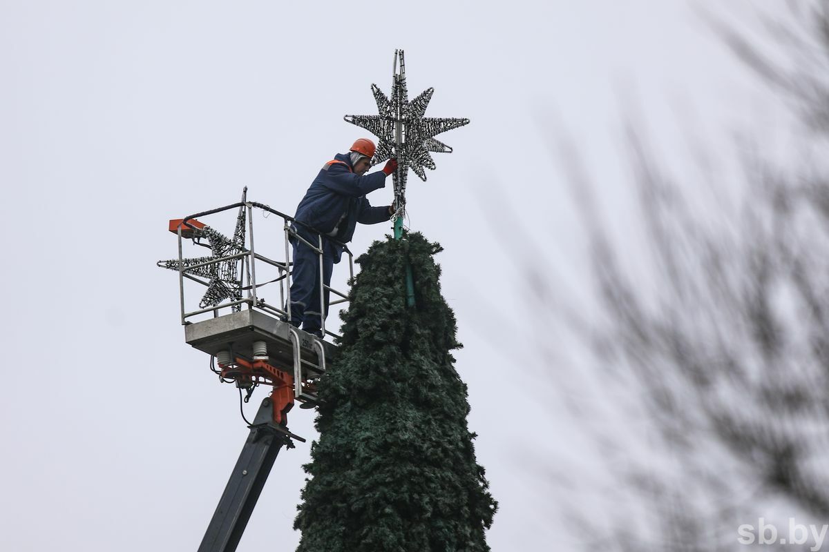 В городах Беларуси начали устанавливать новогодние ёлки