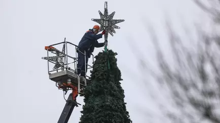 В городах Беларуси начали устанавливать новогодние ёлки