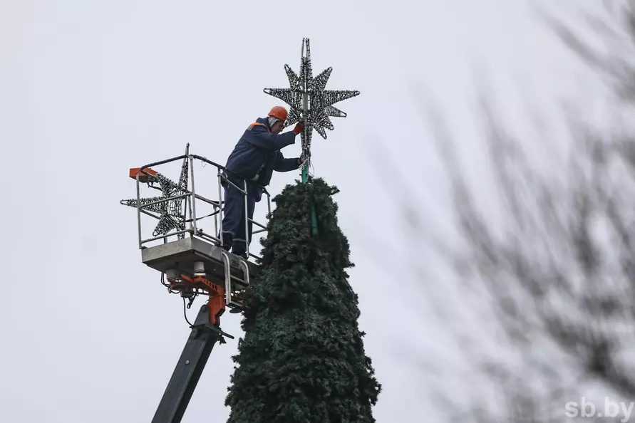 В городах Беларуси начали устанавливать новогодние ёлки