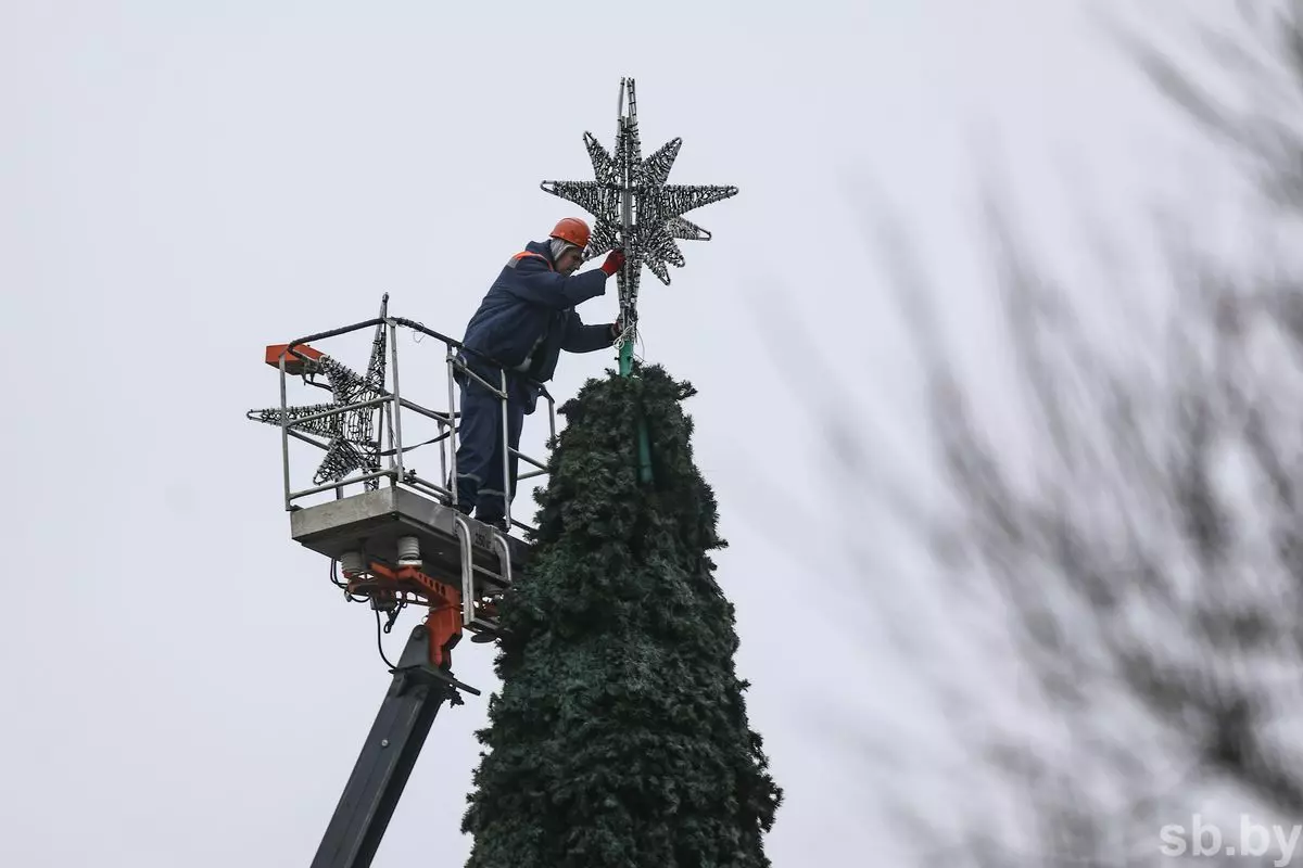 В городах Беларуси начали устанавливать новогодние ёлки
