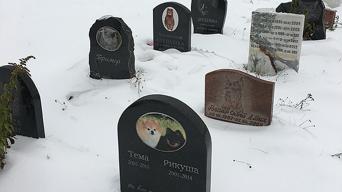 Штраф до 1260 руб. Белорусам назвали альтернативу скотомогильникам для захоронения своих котов и собак